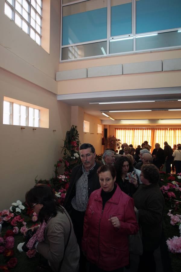 XI Exposición Nacional de Camelias en Turón