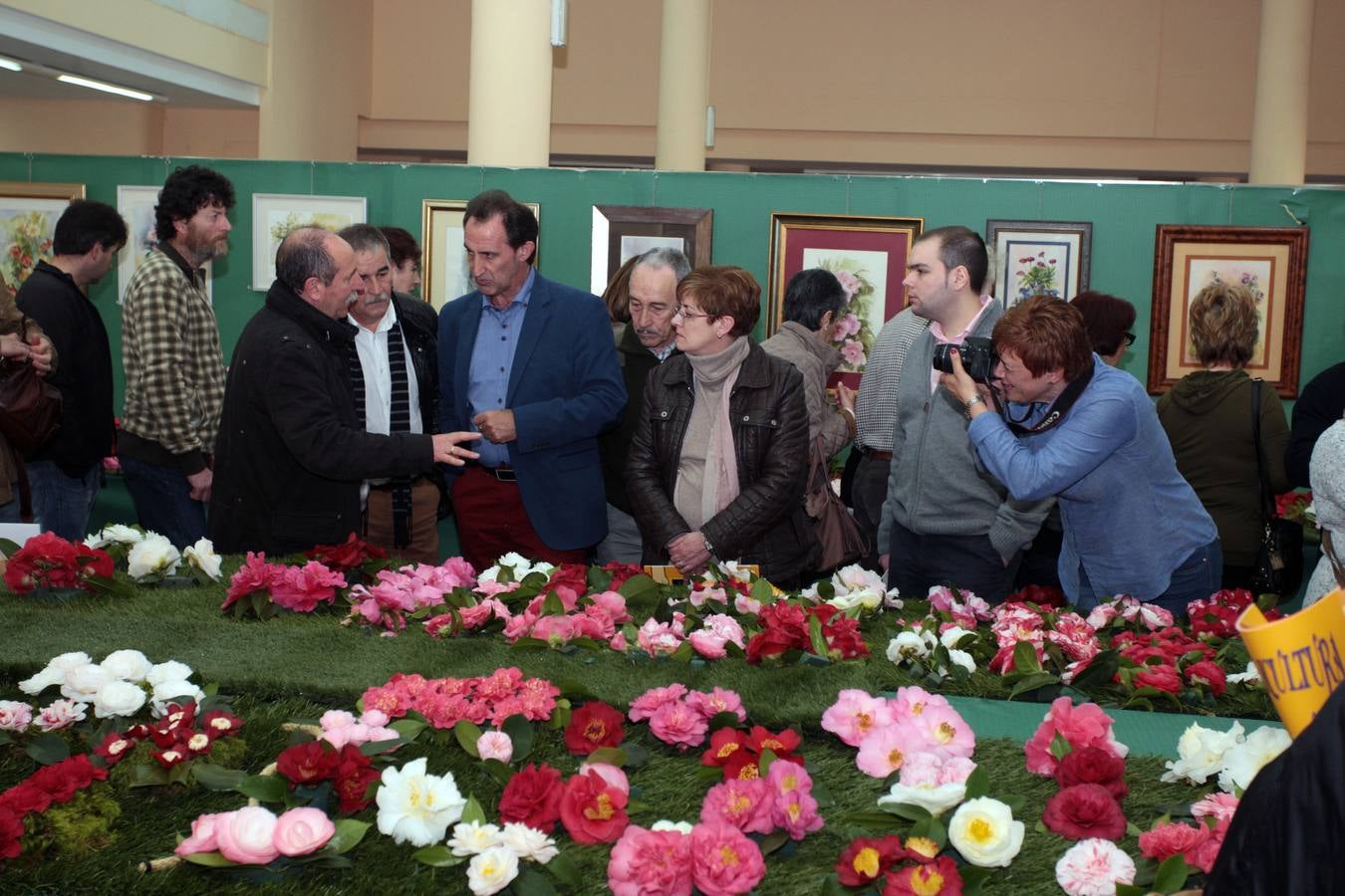 XI Exposición Nacional de Camelias en Turón