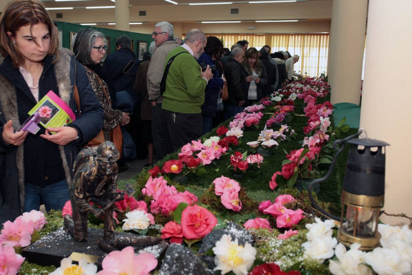 XI Exposición Nacional de Camelias en Turón