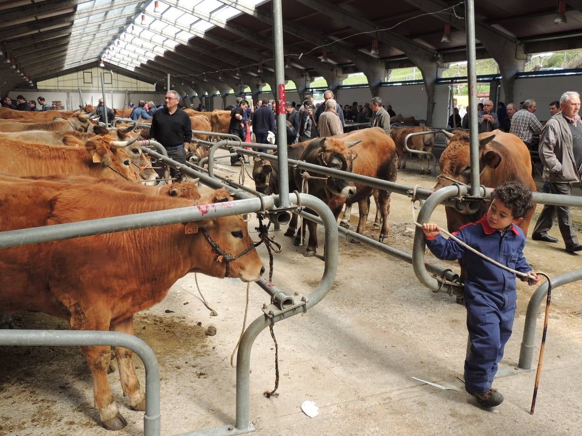 Feria ganadera de Ramos en Cangas del Narcea