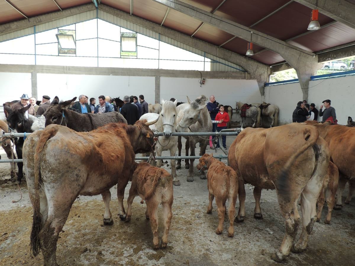 Feria ganadera de Ramos en Cangas del Narcea