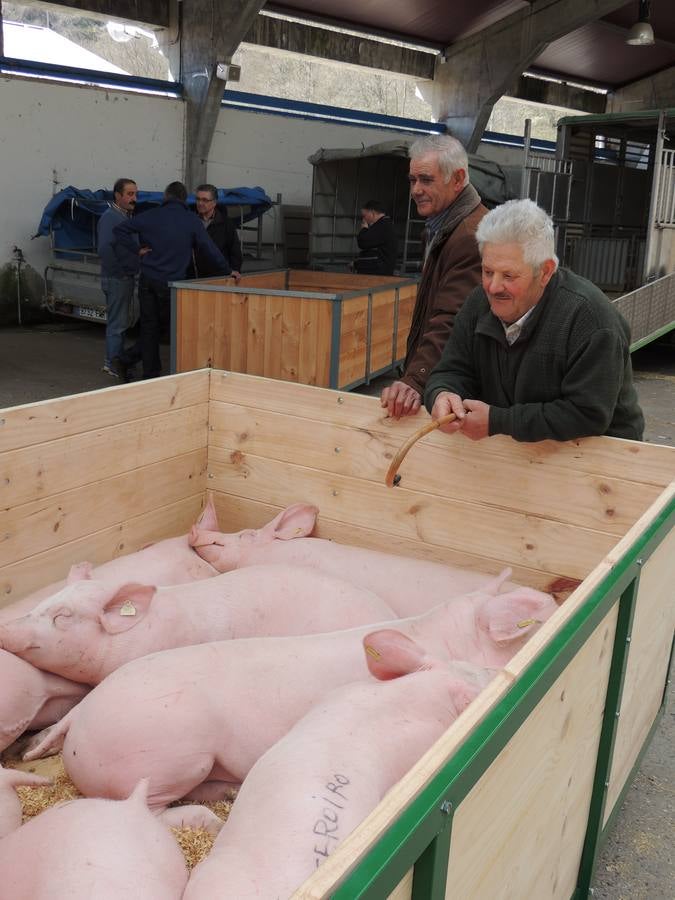 Feria ganadera de Ramos en Cangas del Narcea