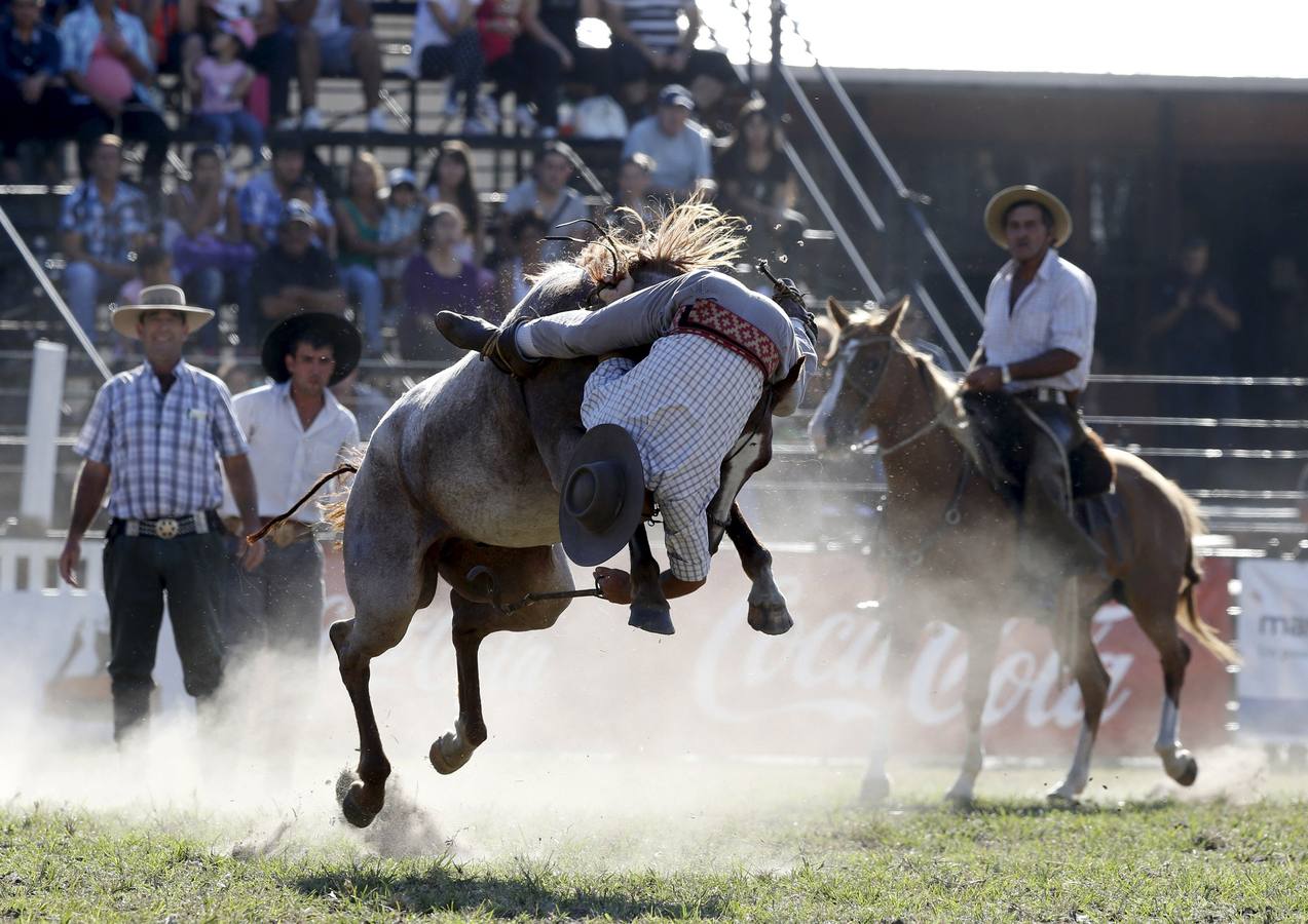 Las espectaculares imágenes de la fiesta de los gauchos