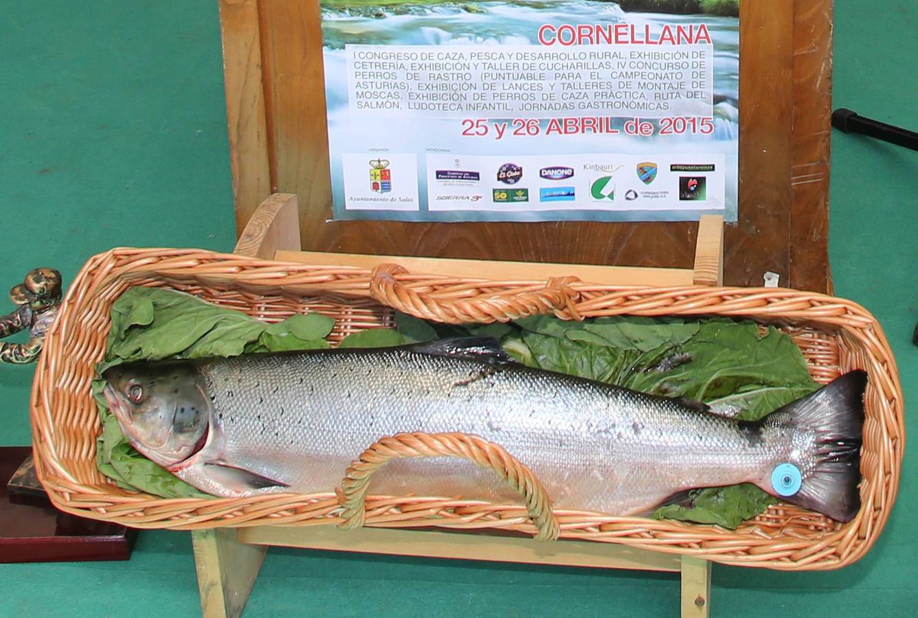 El campanu del río Narcea, un ejemplar de 4,6 kilos