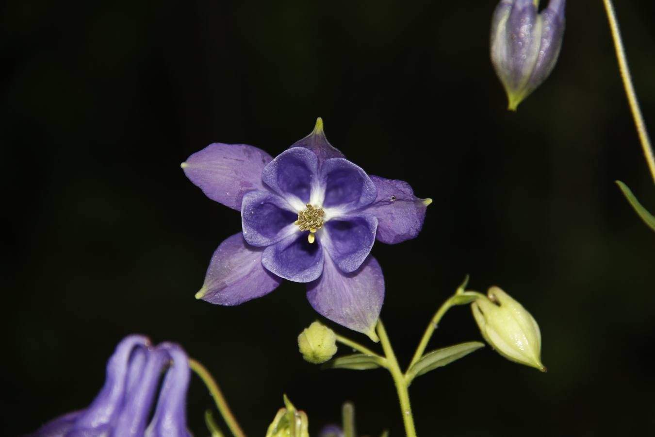 Maraton fotográfico en el Botánico (Infantil)