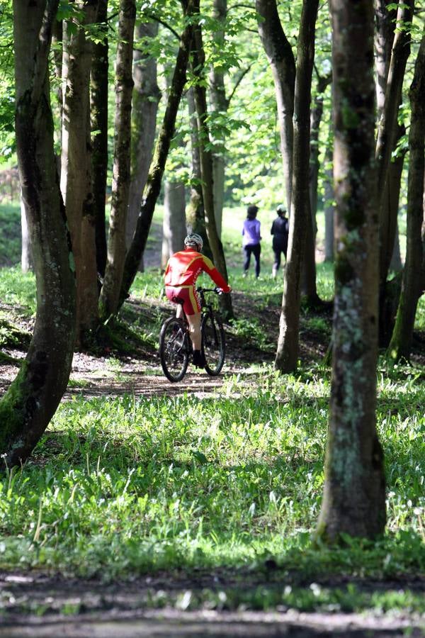 La Acebera, la mayor finca de uso público del centro de Asturias