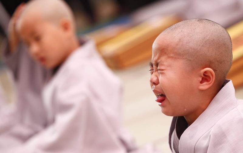 Pequeños monjes budistas durante dos semanas