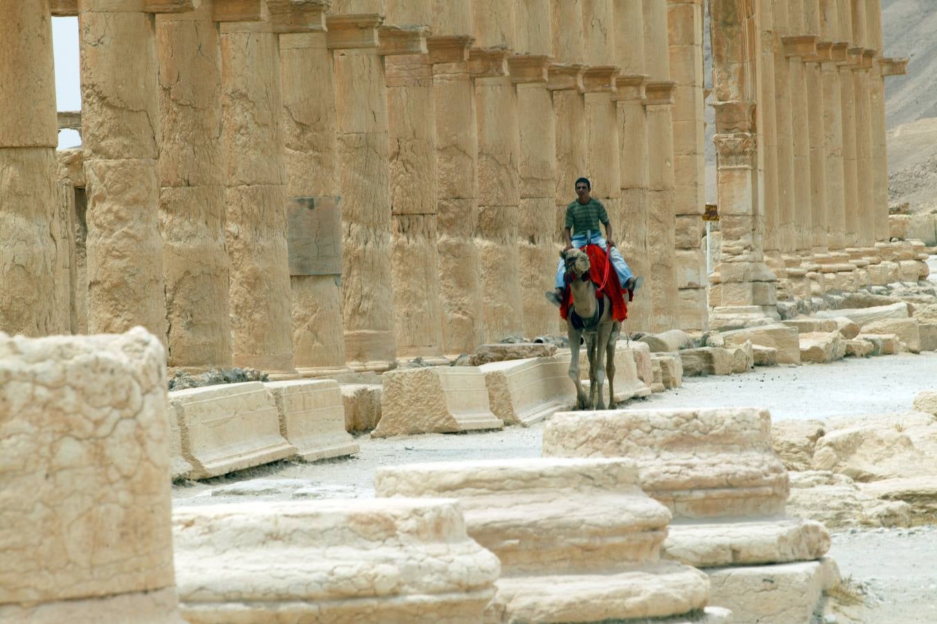 Palmira, el tesoro que el mundo teme perder