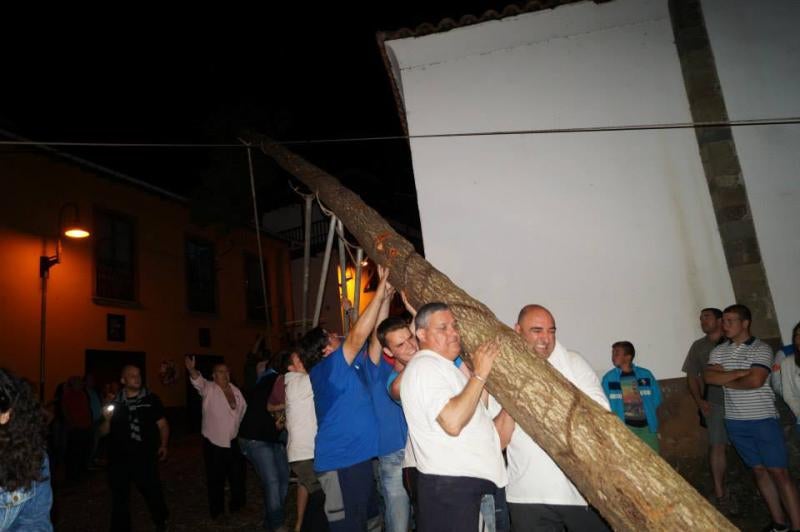 Cangas del Narcea vive la &#039;fiesta del Arbolón&#039;