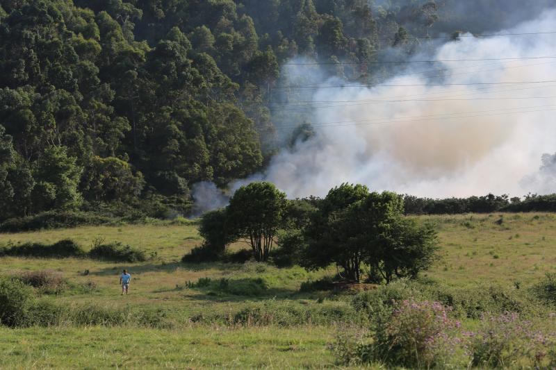 Incendio en Avilés cerca de las instalaciones de Alcoa