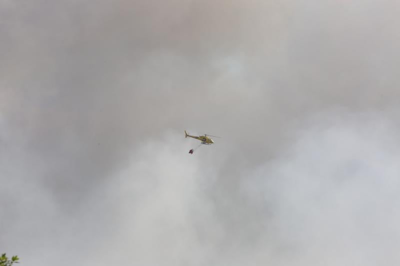 Incendio en Avilés cerca de las instalaciones de Alcoa