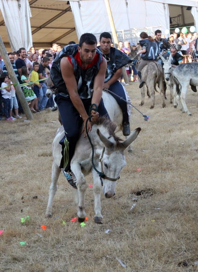 Callao disfruta de la carrera con burros