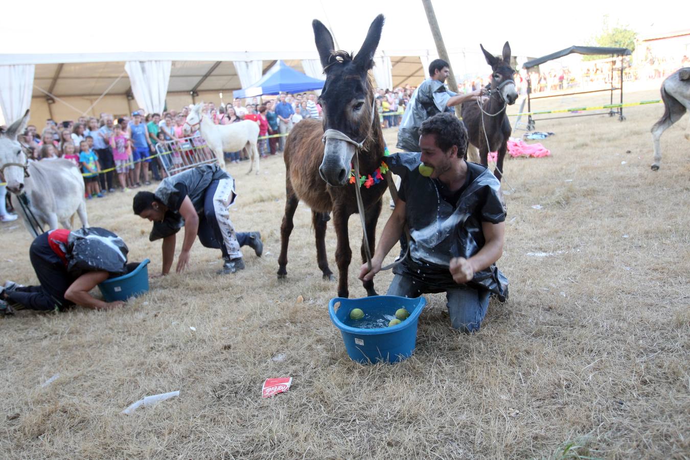 Callao disfruta de la carrera con burros