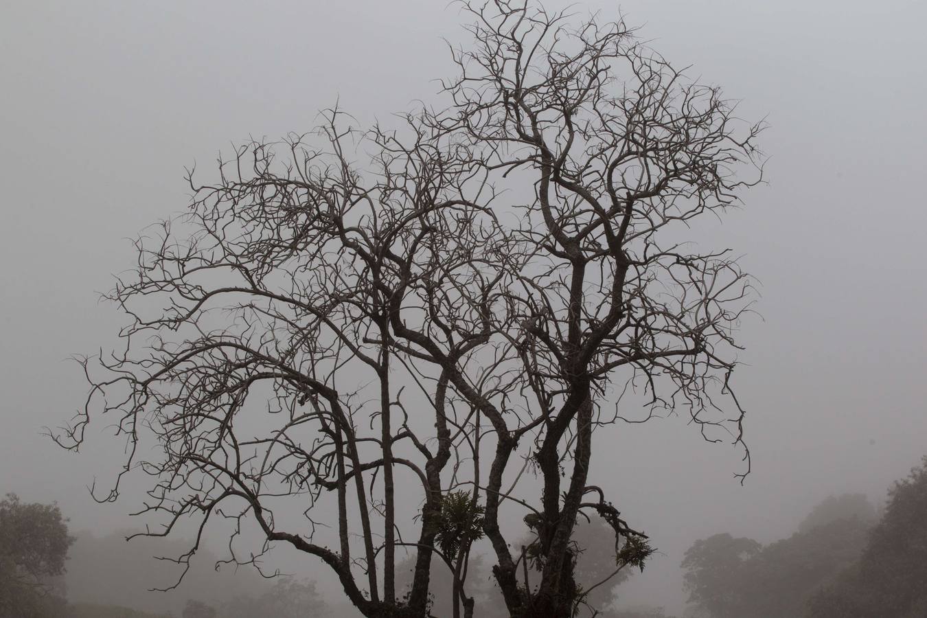 México vigila el volcán Colima