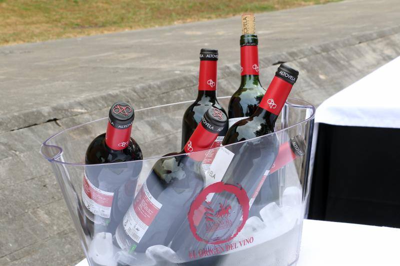 I Jornadas de Difusión de la Cultura del Vino de la Denominación de Origen La Mancha