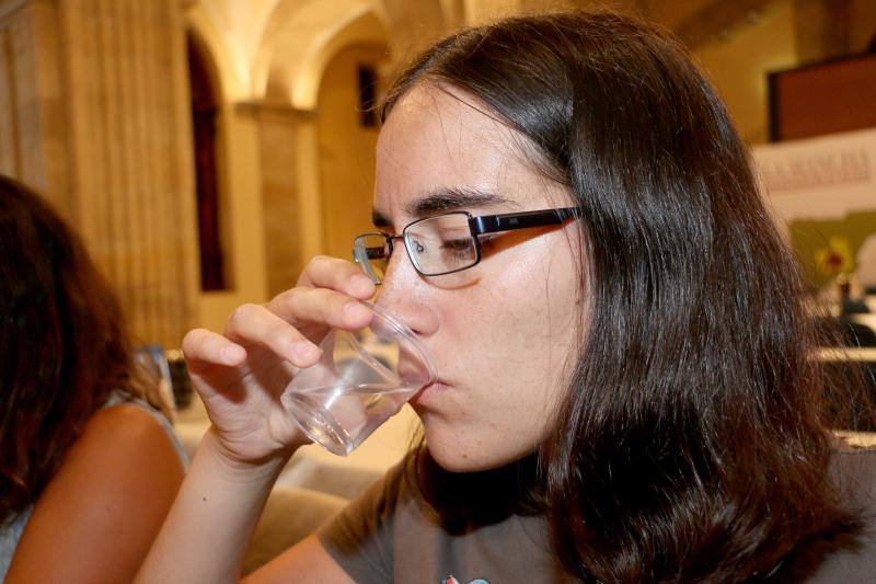 I Jornadas de Difusión de la Cultura del Vino de la Denominación de Origen La Mancha