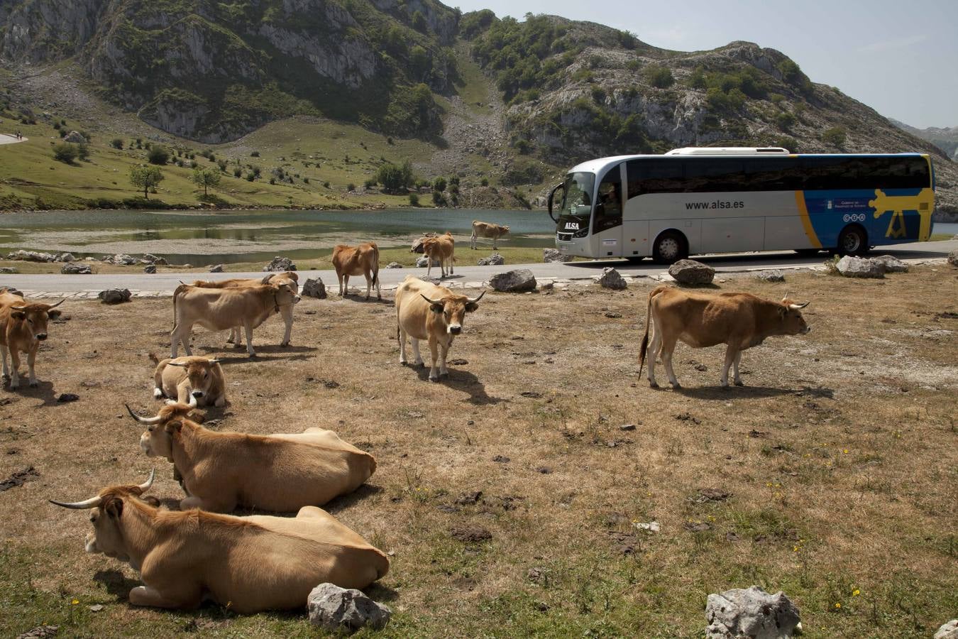 Primera jornada del Plan de Transporte a Lagos