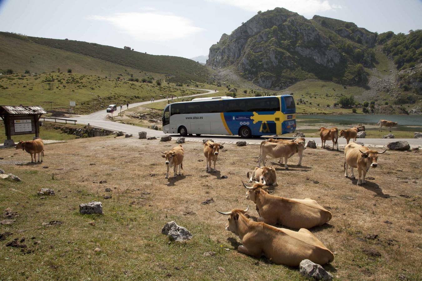 Primera jornada del Plan de Transporte a Lagos