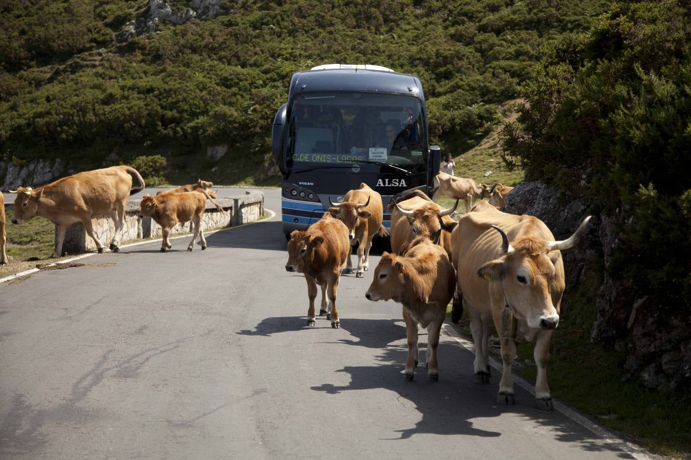 Primera jornada del Plan de Transporte a Lagos