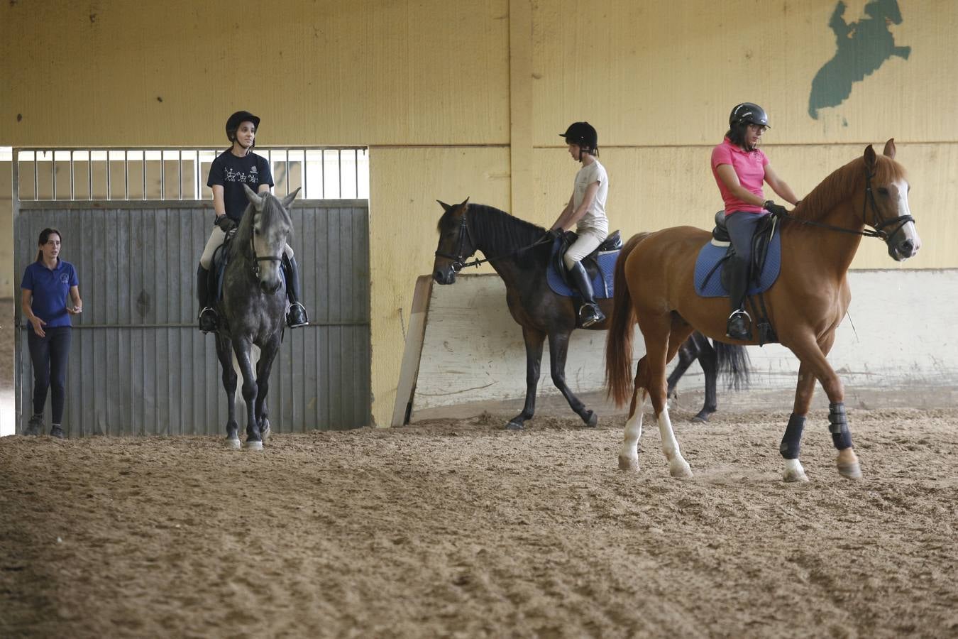 Hipoterapia en El Asturcón