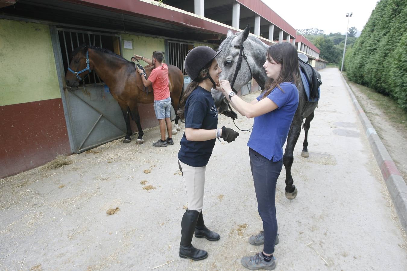 Hipoterapia en El Asturcón