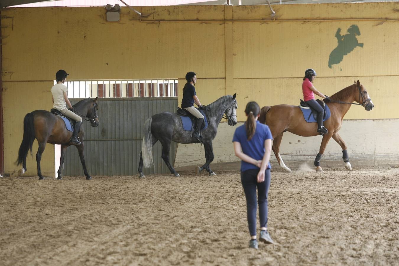 Hipoterapia en El Asturcón