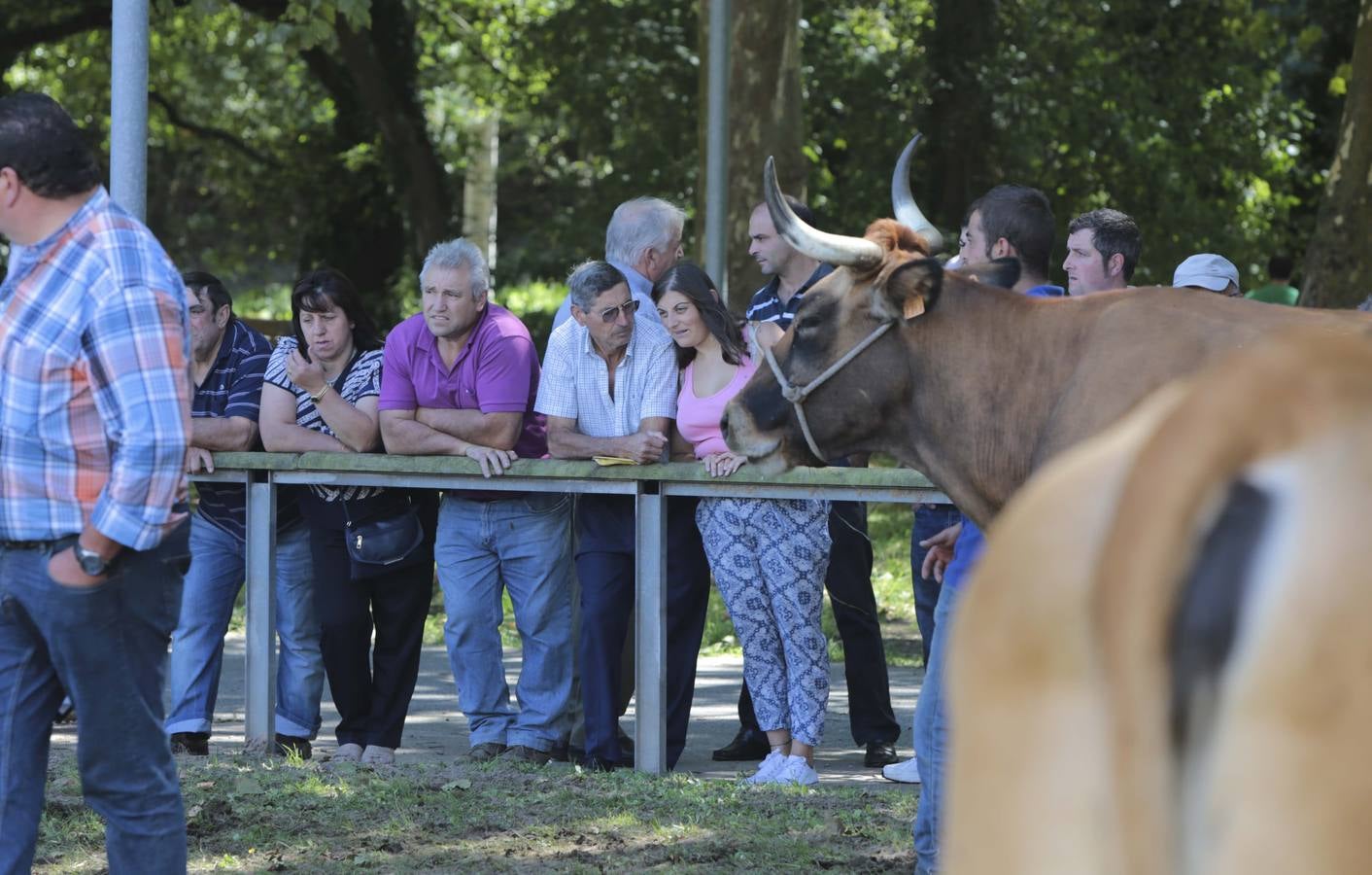 Más que vacas y toros en el Concurso de Ganado de San Agustín