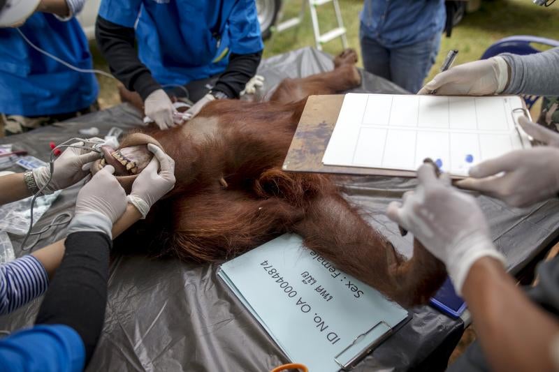 Al médico antes de volver a casa