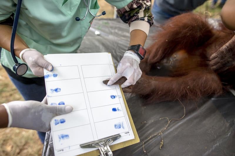 Al médico antes de volver a casa
