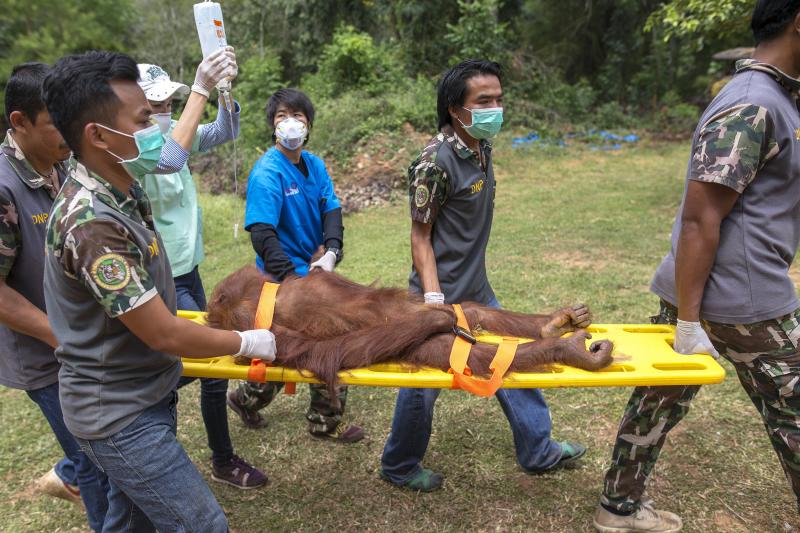 Al médico antes de volver a casa