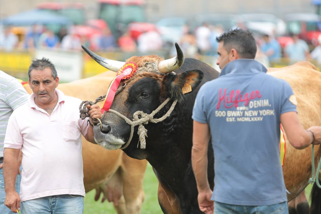 El Certamen de Ganado de San Agustín echa el cierre