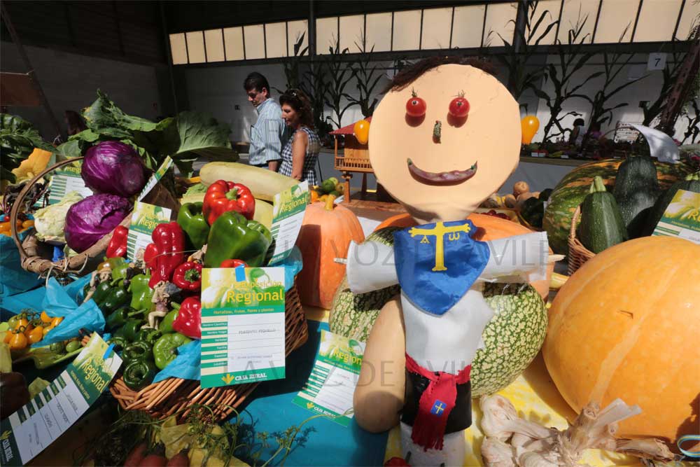 Exposición regional de frutas, flores y Plantas en Pravia