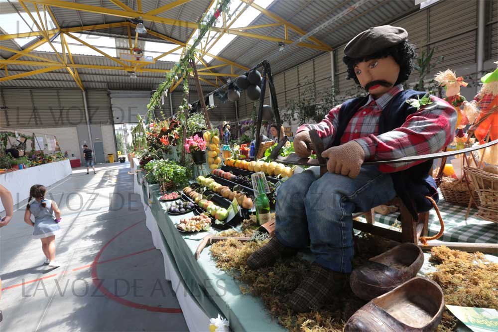 Exposición regional de frutas, flores y Plantas en Pravia