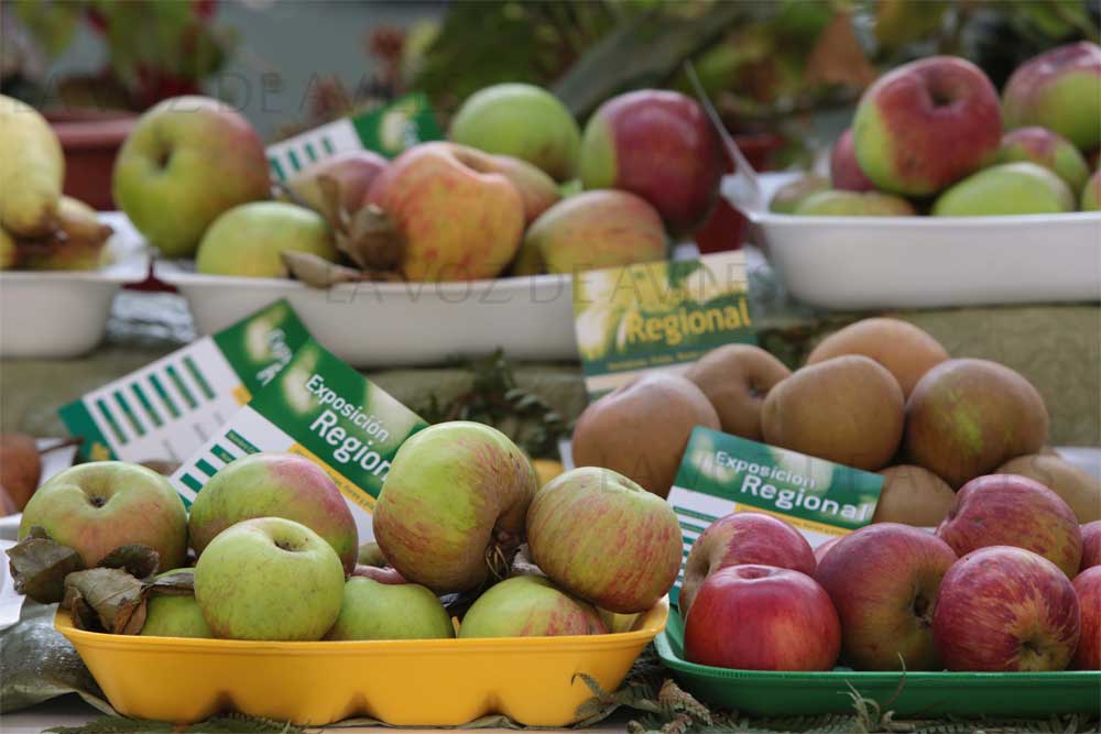 Exposición regional de frutas, flores y Plantas en Pravia