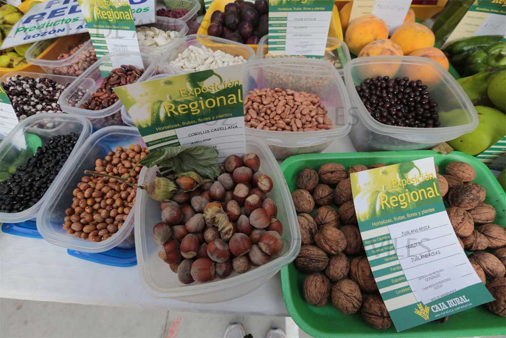 Exposición regional de frutas, flores y Plantas en Pravia