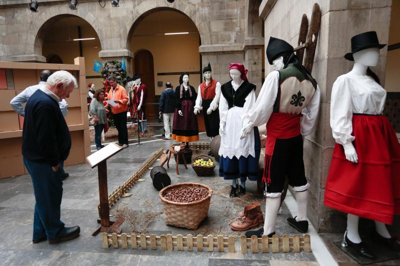 Exposición de trajes regionales en el Antiguo Instituto