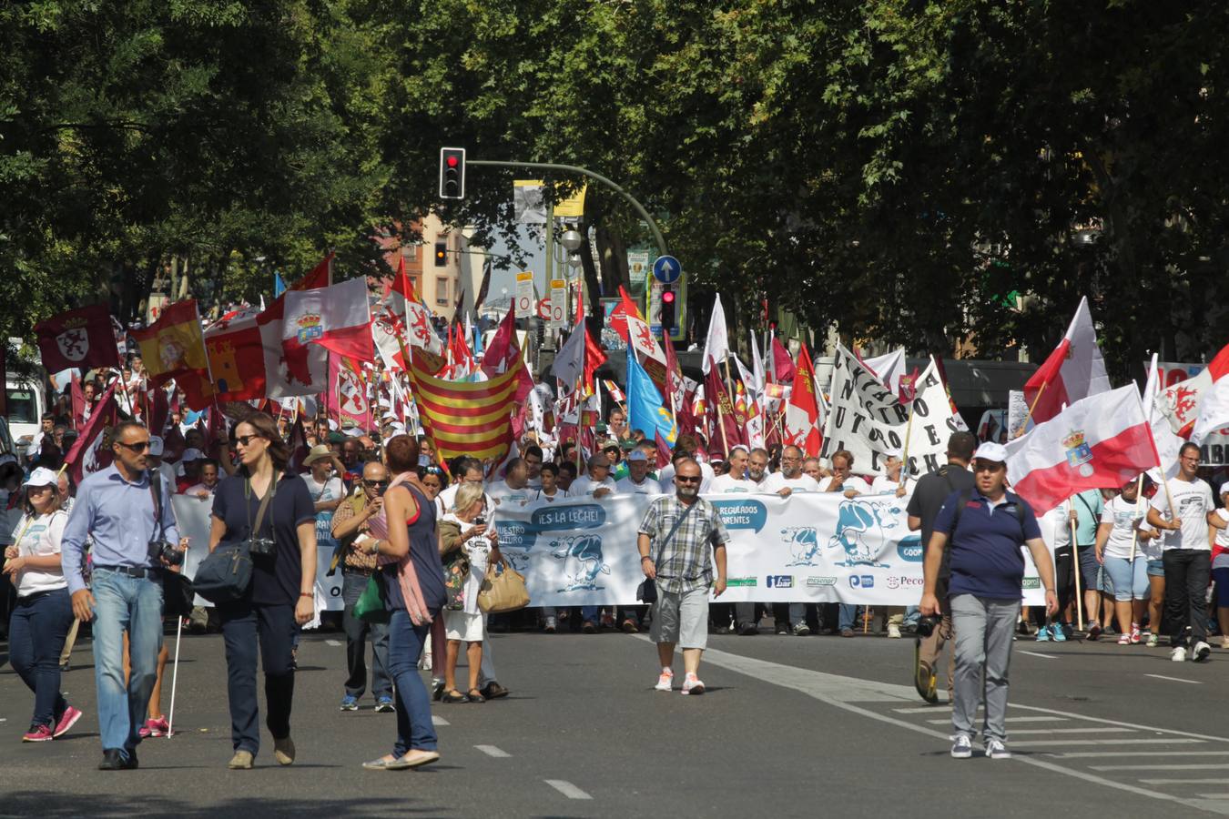 Marcha blanca por el futuro del sector lácteo