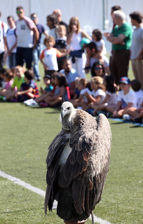 El Centro Asturiano de Oviedo celebra el Día de Asturias