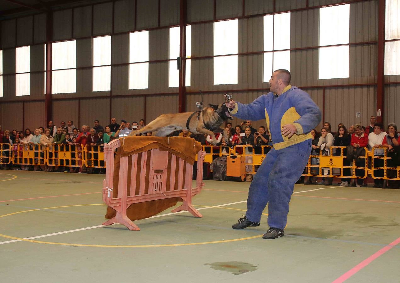 La Guardia Real Española, de maniobras en Asturias