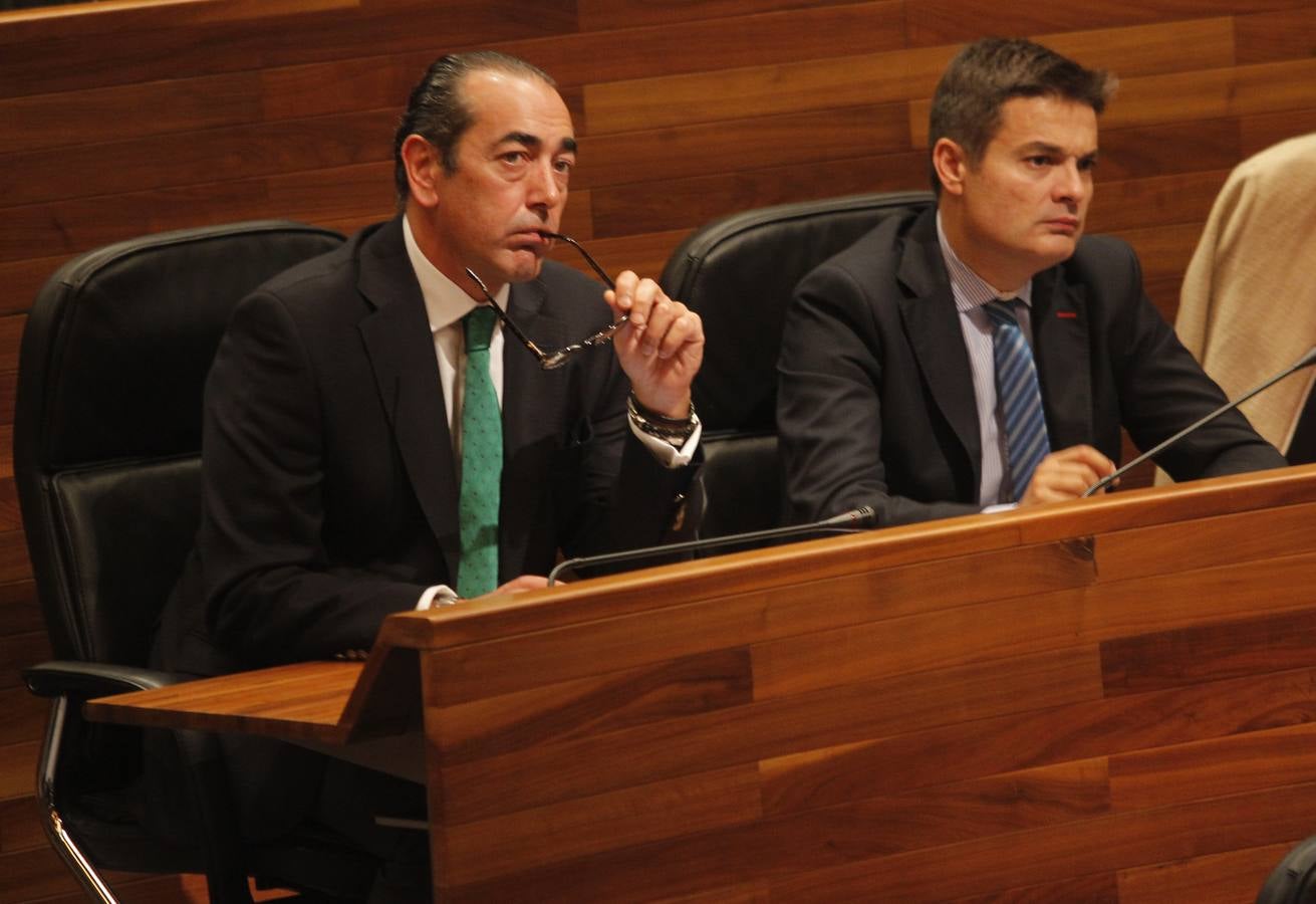 Primer pleno de la legislatura