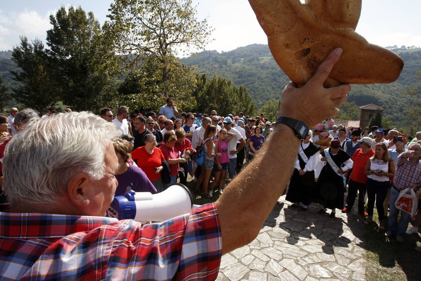 Romería de los Santos Mártires de Insierto