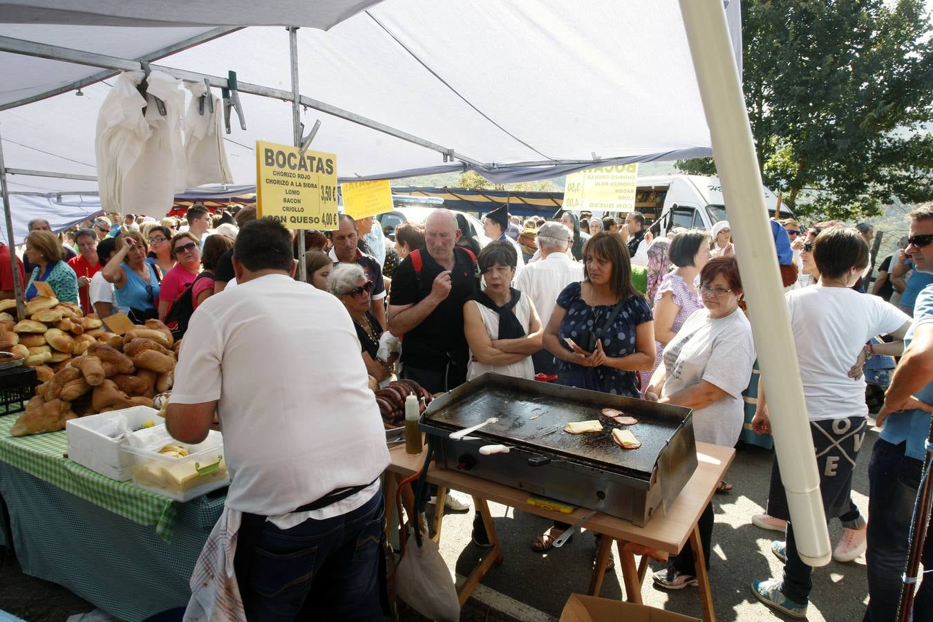 Romería de los Santos Mártires de Insierto