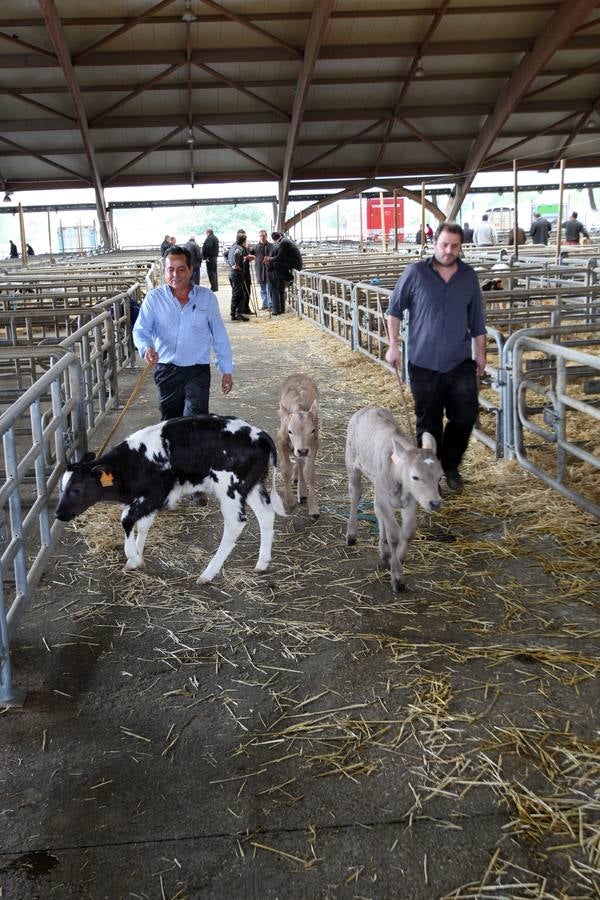 Una jornada en el mercado de la Pola