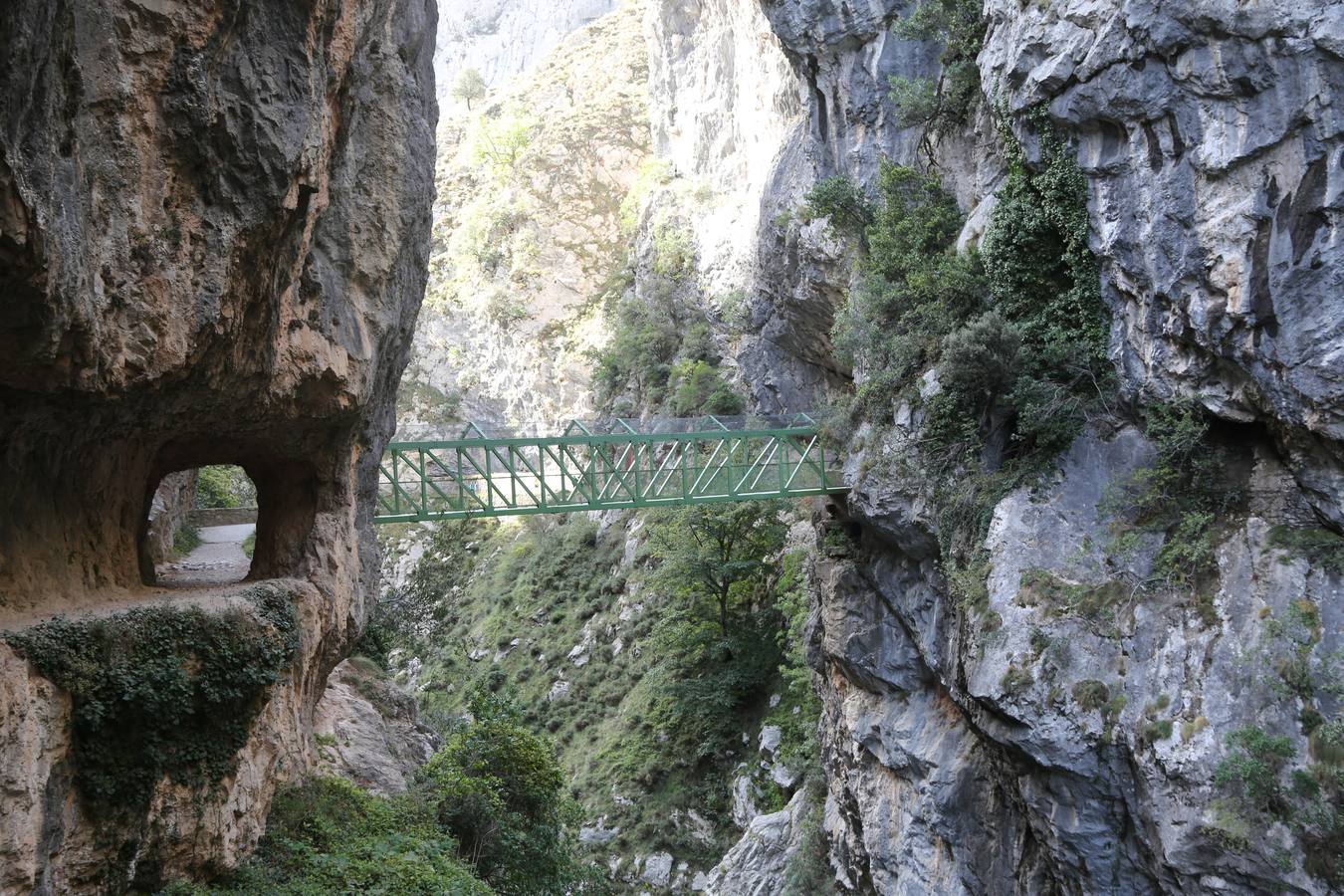 Homenaje a la saga de los Martínez, «los padres del montañismo asturiano»