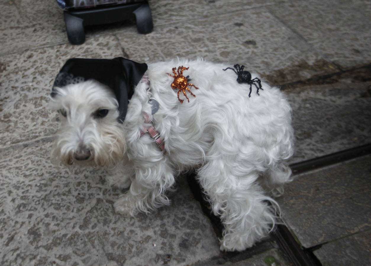 Halloween, en el Fontán