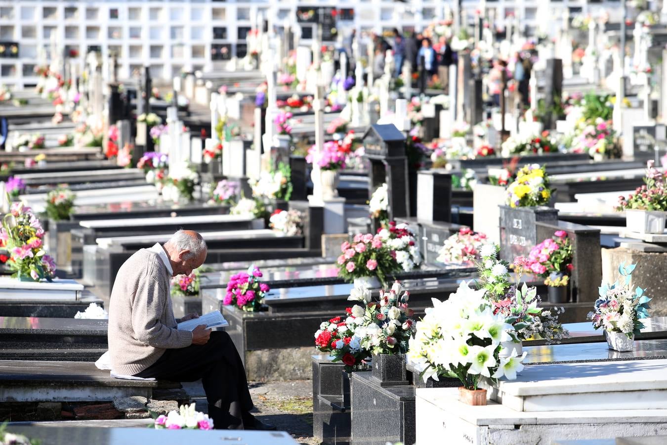 Concurrida jornada de Difuntos en los cementerios de Oviedo