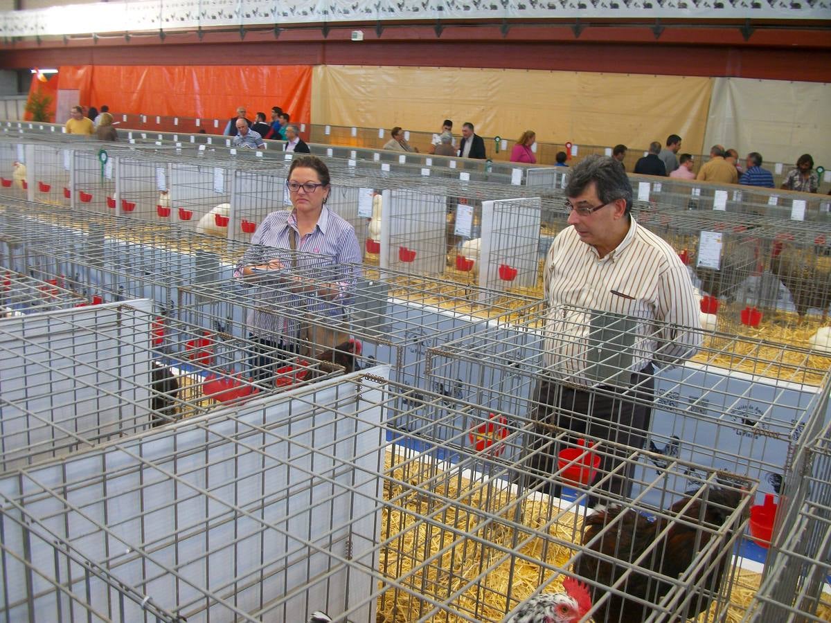 XII Exposición Internacional de Avicultura en Vegadeo