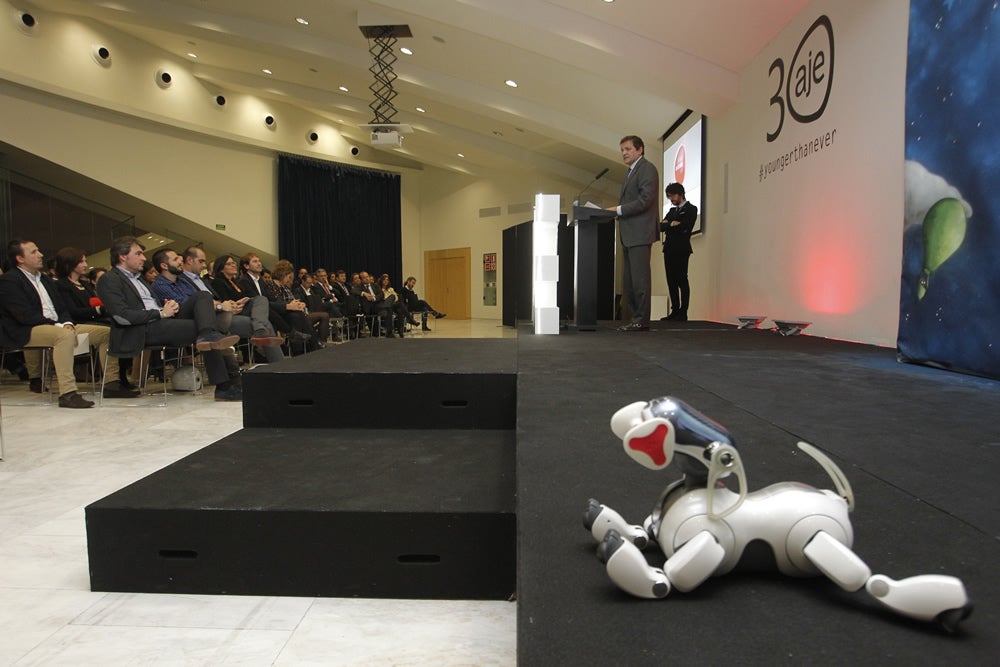 Premios AJE Asturias 2015