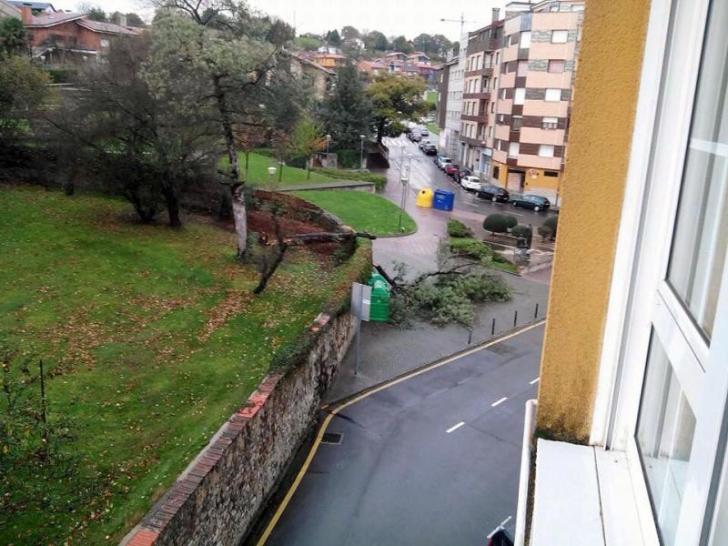 Árbol caído en Siero, el sábado.