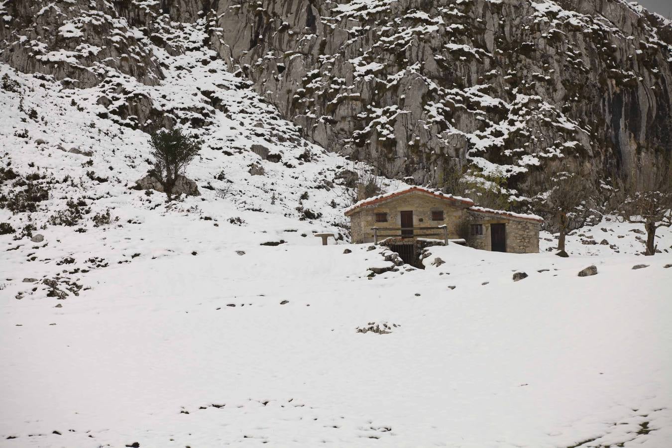 La nieve cubre Asturias